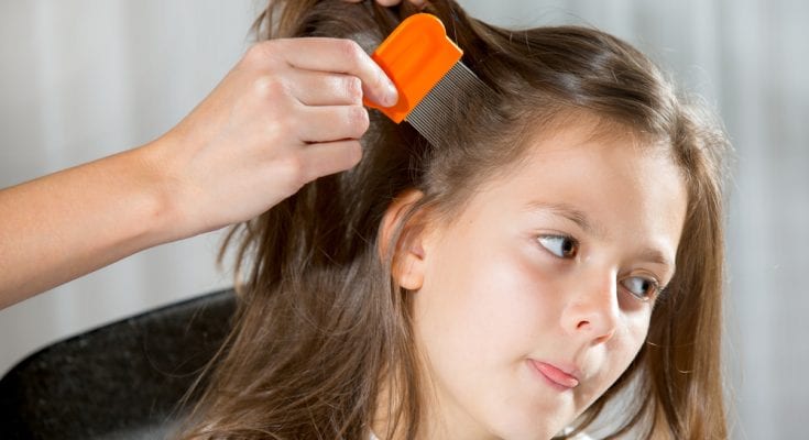 Clear Lice Treatment Scam