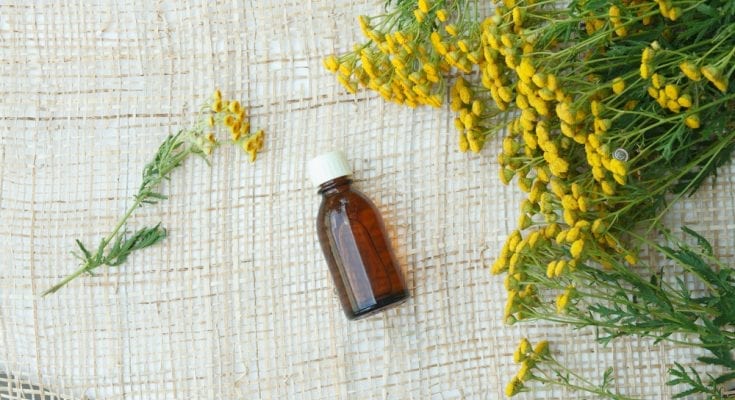 tansy oil