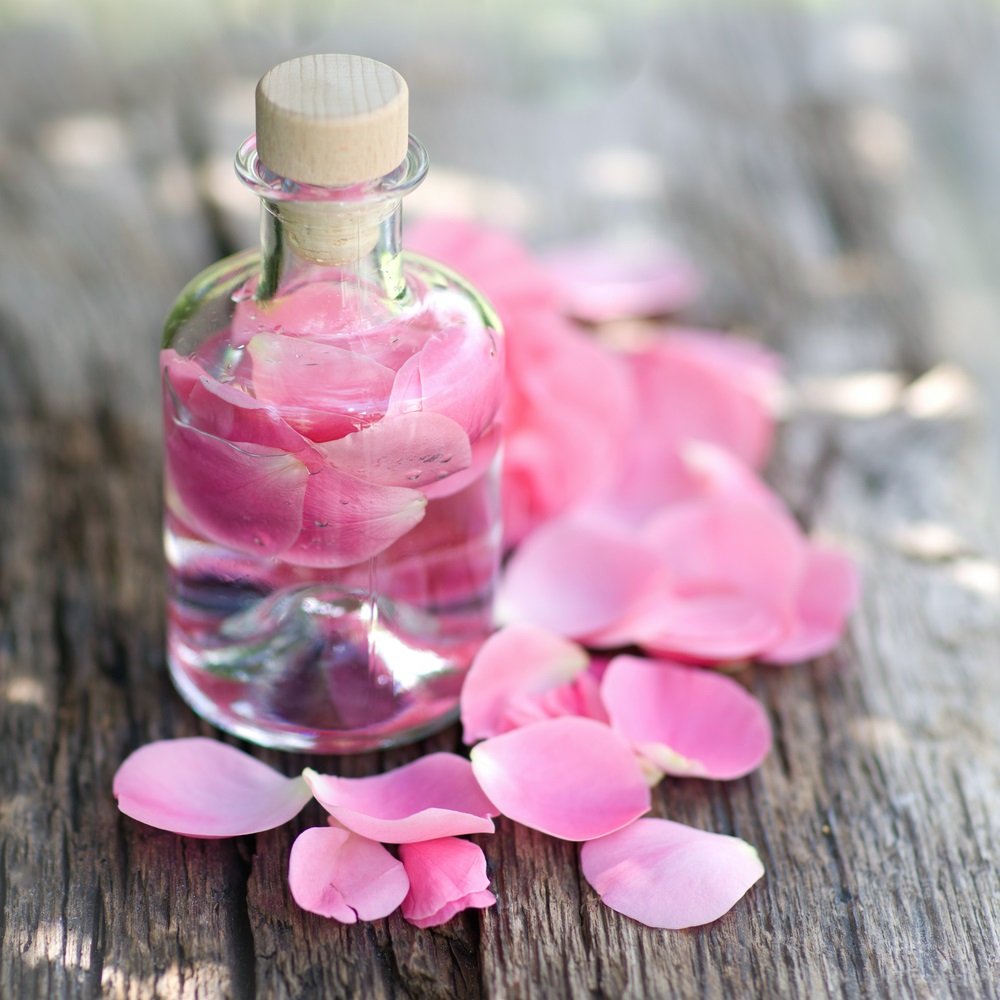 the-many-uses-of-rose-water-and-its-diy-treatments-iskincarereviews