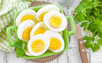 hard-boiled egg diet