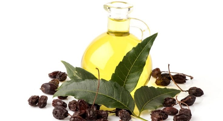 neem oil