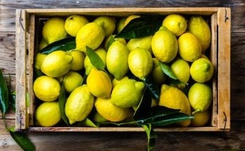 Beauty treatments for clear, healthy skin can cost hundreds of dollars. Before you fix your next appointment with your dermatologists, have a look in your kitchen to find the nature’s solution to all your skin problems. Rich in vitamin C and packed with antioxidants, lemon is a super-fruit that can work wonders for you