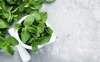 Mint Leaves. Five Health Benefits