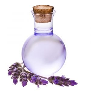 Four Skincare Benefits of Lavender Oil