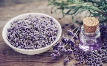 Lavender Oil for Hair Problems