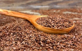 Flaxseeds- The New Wonder Food for Your Health
