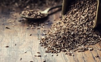 Cumin Water – The Miracle Drink for Excellent Health