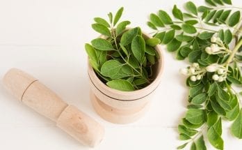 Benefits of Including Moringa In Your Diet