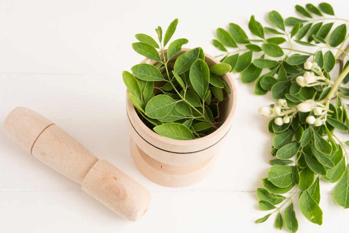 Benefits of Including Moringa In Your Diet - iSkinCareReviews